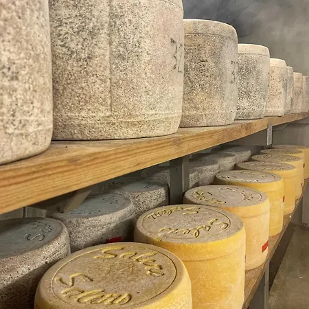 Chez Burons&bouchons, Le Refuge Gourmand Et Authentique מלון דירות Condat (Cantal)