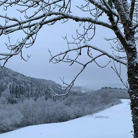 Chez Burons&bouchons, Le Refuge Gourmand Et Authentique *