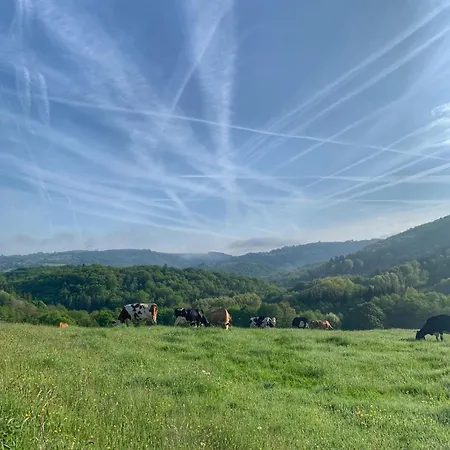 Appart hôtel Chez Burons&bouchons, Le Refuge Gourmand Et Authentique *