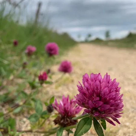 Chez Burons&bouchons, Le Refuge Gourmand Et Authentique Condat (Cantal)